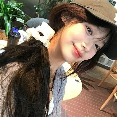 高速路上一只猫